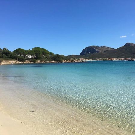 Tramontana Vista Mare 300M Dalla Spiaggia Golfo Aranci Exterior foto